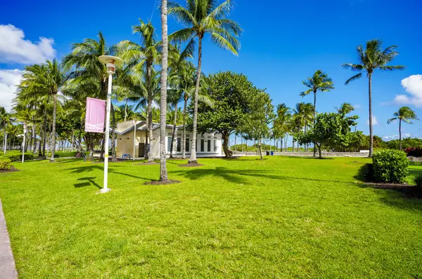 Lummus Park Miami Plajı Okyanus Yolu 2024