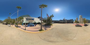 Tampa, FL, ABD - 24 Ekim 2024 Fotoğraf Tampa Akvaryumu 2024