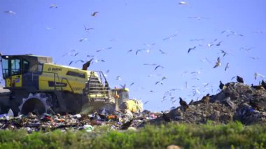 Miami, FL, ABD - 29 Ocak 2025: Güney Dade Fıçı Miami Florida 'da stok görüntüleri depolama sıkıştırıcısı