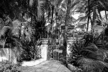 Miami Plajı 'nda çekilmiş siyah beyaz bir fotoğraf. Avuç içleri kapalı eski bir çitin manzarası.