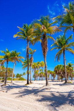 Miami 'deki el fotograflarının çıktısını al.