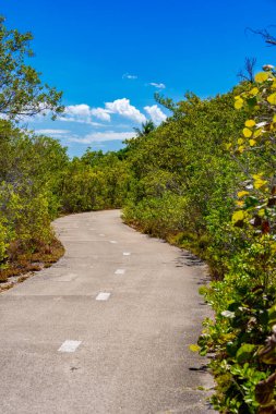 Crandon Parkı Miami bisiklet yolu