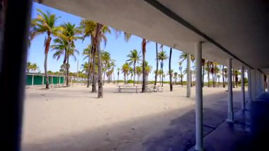 Güzel bir Miami sahnesi. 4k hareket videosu