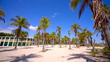 Miami sahnesindeki palmiyelerde yürüyorum.
