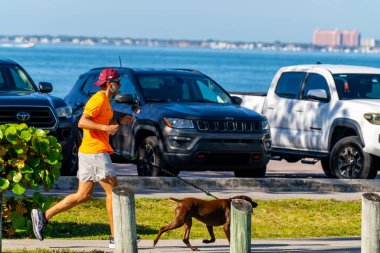 Key Biscayne Miami, FL, ABD - 8 Mart 2025: Cape Biscayne Miami, Florida 'da köpeğiyle koşan adam