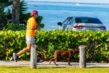 Key Biscayne Miami, FL, ABD - 8 Mart 2025: Cape Biscayne Miami, Florida 'da köpeğiyle koşan adam