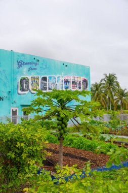 Miami, FL, ABD - 30 Mart 2025 Zenci İnovasyon Merkezi 'ndeki Overtown Sanat Duvarı 2025