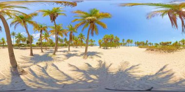 Miami tropik plaj sahnesi 360 VR 8K. 2025 hisse senedi