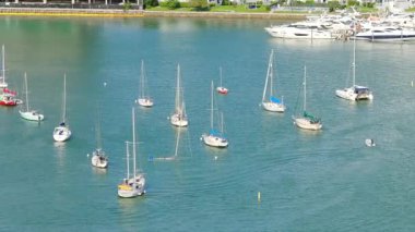 Miami yelkenlileri körfeze demir attı. Hava 4k İHA videosu