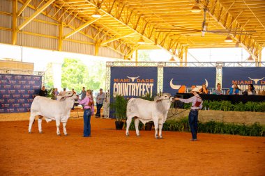 Miami, FL, ABD - 27 Nisan 2025: Miami Dade Countryfest 2025 Bu ücretsiz bir etkinlik ve rodeo