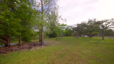 Doğada güzel bir sahne. Renkli yeşil çimlerin ve ağaçların hareketli görüntüleri sakin bir göl kenarında sabah