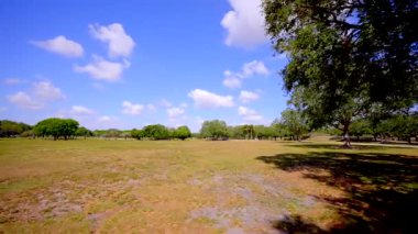 Parkta yeşil çimlerin üzerinde yürüyorum. 4k.