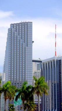 Miami gökdelenleri dikey stok görüntüler