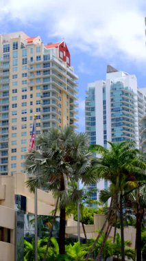 Miami dikey 8k stok video 2025