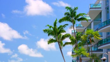 Miami 'de 8 bin. Mavi gökyüzünde bina ve palmiyelerin olduğu sahne