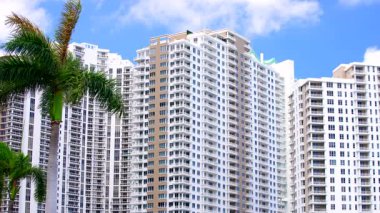 Miami Brickell Key gökyüzündeki en yüksek binalar ve palmiyeler. Çekim 8K