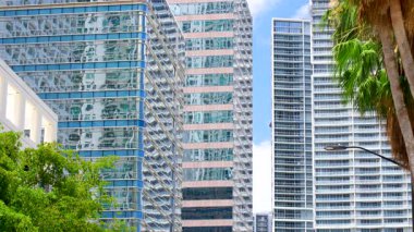 Miami binası ve ağaçların arkaplan görüntüsü 8 bin.