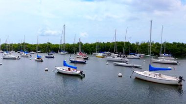 Miami, FL, ABD - 22 Nisan 2025: Coconut Grove Miami yelkenlileri 2025