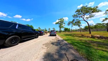 Loxahatchee, FL, ABD - 22 Nisan 2025: Lion Country Safari Florida 'da bir araba camını gagalayan Arap devekuşu