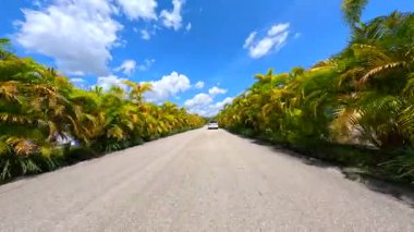 Loxahatchee, FL, ABD - 22 Nisan 2025: Lion Country Safari sürüş turu 2025