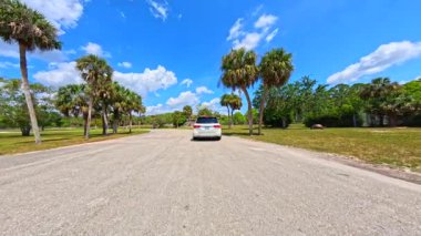 Loxahatchee, FL, ABD - 22 Nisan 2025: Las Pampas Lion Country Safari Florida 'dan geçiyor