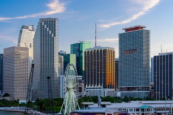 Şehir merkezinde, 2025 'te Florida gökdelenleri.