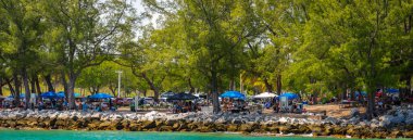 Miami Beach, FL, ABD - 25 Mayıs 2025 Haulover Beach Park 'ta hafta sonu için piknik yapan insanlar