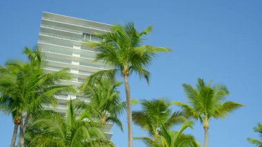 Miami Sahili 'nin 8 km arkaplanı