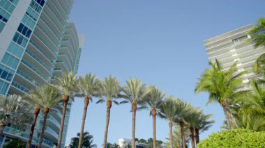 Miami Sahili 'nin arka planında. Gökyüzündeki yüksek kulelerin ve palmiyelerin videosu.