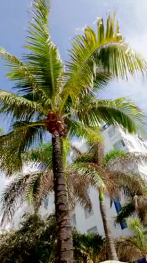 Dikey görüntüler sanat deco otelleri Miami Plajı