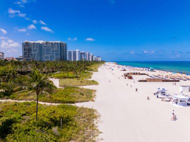 Miami Kumsalı sahnesi. Hava manzaralı sahil şeridi ve yeşil deniz otları.