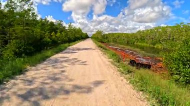 Florida Everglades 'te toprak yolda.