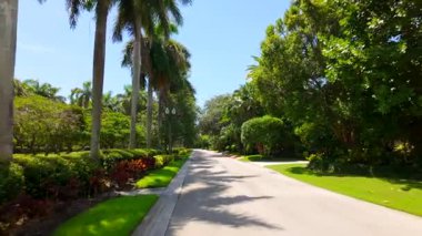 Star Adası. Stabilize edilmiş video hareket turu 2025