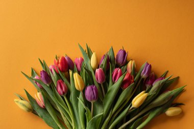 Bright spring flowers tulips on the yellow background