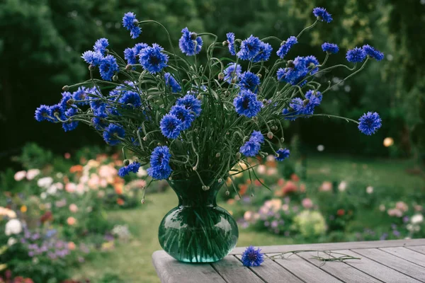 Bouquet Beautiful Cornflowers Vase Wooden Table Garden — Stock Photo, Image