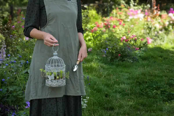 Une Femme Tient Une Cage Décorative Avec Des Succulents Dans Image En Vente