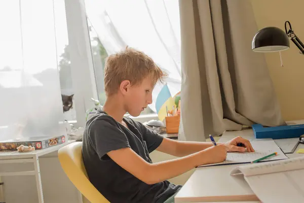 自宅で勉強する少年 テーブルに座って夜に宿題をする ストック画像