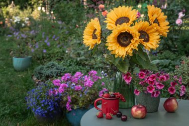 Yaz ayçiçekleri vazoda, meyveler bahçede bir masada. Yaz-sonbahar döneminde bahçede rahat bir atmosfer konsepti.