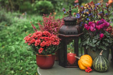 Çiçeklerle dolu bir sonbahar ve bahçede mumla dolu bir fener. Heather, kasımpatı ve siklamen masada.