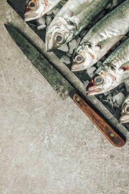 table top of uncooked fresh white fish on cutting board with ice and kitchen knife with old rusty blade on top of texture background