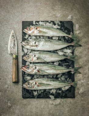 flat lay picture of whole white seabass fish on cutting board with ice cubes and knife on top of texture background