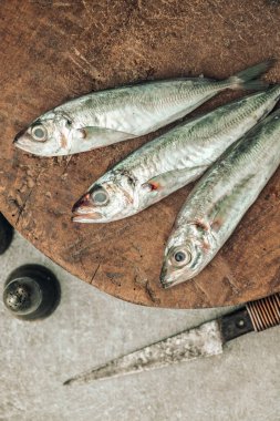 wooden cutting board with fresh fish, knife, salt and pepper, ready to cook a delicious and healthy meal