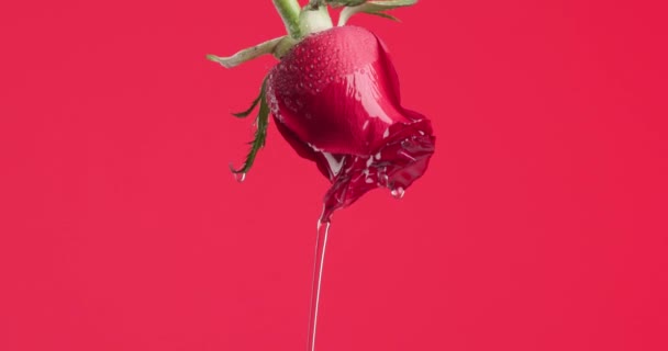 一个美丽的上下颠倒的红玫瑰和瀑布在一个视频 — 图库视频影像