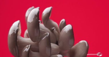 kırmızı arka planda pişmemiş taze istiridye mantarları damlayan su damlacıkları, doğa konsepti ve sağlıklı yemekler.