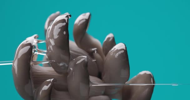 Verticale Video Van Rauwe Pleurotus Champignons Met Stromend Water Voor — Stockvideo