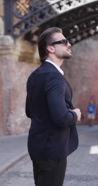 Vista Trasera Hombre Negocios Elegante Con Gafas Sol Tocando Barbilla — Vídeos de Stock