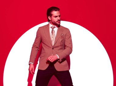 Şık takım elbiseli seksi, üst sınıf iş adamı kırmızı arka planda kırmızı ışıkta kırmızı ışıkla poz vermeye çalışıyor.