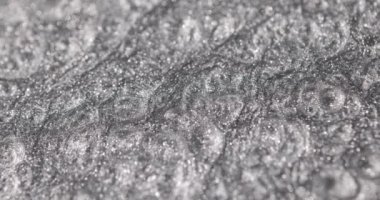 Farklı şekillerde parlayan ve yayılan serin gri resme yaklaş