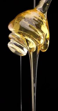 Camdan damlayan gerçek balın yakın çekimi organik gıda, doğal tatlılık ve yavaş yaşam temaları için idealdir.