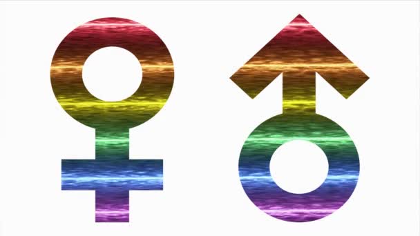 Lgbt Male Female Icon Rainbow Abstract Lesbian Gay Bisexual Transgender — Stock videók